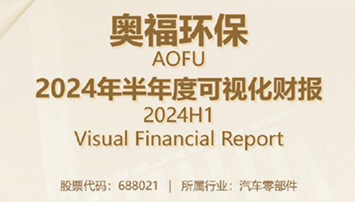 2024年半年度可視化財(cái)報(bào)